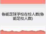 鲁能足球学校在校人数(鲁能足校人数)