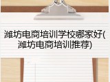 潍坊电商培训学校哪家好(潍坊电商培训推荐)