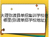 大理弥渡县单招集训学校在哪里(弥渡单招学校地址)