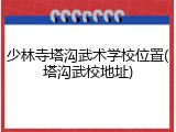 少林寺塔沟武术学校位置(塔沟武校地址)