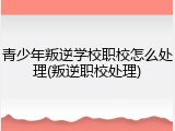 青少年叛逆学校职校怎么处理(叛逆职校处理)