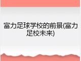 富力足球学校的前景(富力足校未来)