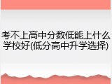 考不上高中分数低能上什么学校好(低分高中升学选择)