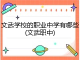 文武学校的职业中学有哪些(文武职中)