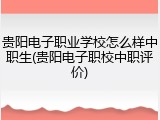 贵阳电子职业学校怎么样中职生(贵阳电子职校中职评价)