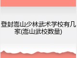 登封嵩山少林武术学校有几家(嵩山武校数量)