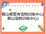 鞍山哪里有宠物训练中心(鞍山宠物训练中心)