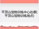 平顶山宠物训练中心在哪(平顶山宠物训练地点)