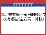 深圳宝安高一全日制补习学校有哪些(宝安高一补校)