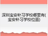 深圳宝安补习学校哪里有(宝安补习学校位置)