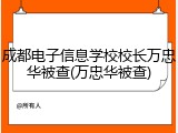 成都电子信息学校校长万忠华被查(万忠华被查)