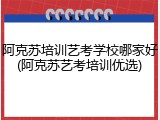 阿克苏培训艺考学校哪家好(阿克苏艺考培训优选)
