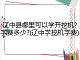 辽中县哪里可以学开挖机?学费多少?(辽中学挖机学费)