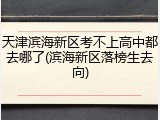天津滨海新区考不上高中都去哪了(滨海新区落榜生去向)