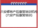 六安哪有产后康复培训机构(六安产后康复培训)
