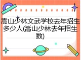 嵩山少林文武学校去年招生多少人(嵩山少林去年招生数)