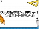 模具数控编程培训中职学什么(模具数控编程培训)