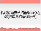 临沂沂南县单招集训中心在哪(沂南单招集训地点)
