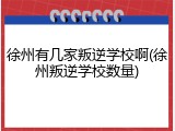 徐州有几家叛逆学校啊(徐州叛逆学校数量)