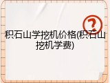 积石山学挖机价格(积石山挖机学费)