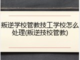 叛逆学校管教技工学校怎么处理(叛逆技校管教)