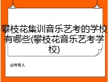 攀枝花集训音乐艺考的学校有哪些(攀枝花音乐艺考学校)