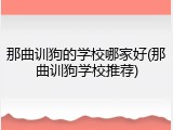 那曲训狗的学校哪家好(那曲训狗学校推荐)
