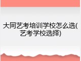 大同艺考培训学校怎么选(艺考学校选择)