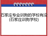 石家庄专业训狗的学校有没(石家庄训狗学校)