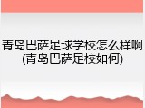 青岛巴萨足球学校怎么样啊(青岛巴萨足校如何)