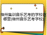 宿州集训音乐艺考的学校在哪里(宿州音乐艺考学校)