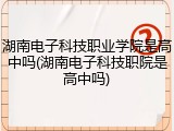 湖南电子科技职业学院是高中吗(湖南电子科技职院是高中吗)