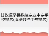 甘孜道孚县数控专业中专学校排名(道孚数控中专排名)