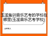 玉溪集训音乐艺考的学校在哪里(玉溪音乐艺考学校)