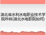 湖北省水利水电职业技术学院咋样(湖北水电职院如何)