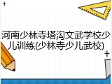 河南少林寺塔沟文武学校少儿训练(少林寺少儿武校)