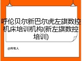 呼伦贝尔新巴尔虎左旗数控机床培训机构(新左旗数控培训)