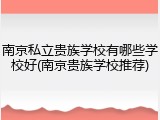 南京私立贵族学校有哪些学校好(南京贵族学校推荐)