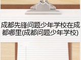 成都先锋问题少年学校在成都哪里(成都问题少年学校)