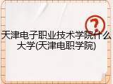 天津电子职业技术学院什么大学(天津电职学院)
