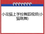 小花猫上学校舞蹈视频(小猫跳舞)