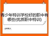 青少年特训学校好的职中有哪些(优质职中特训)