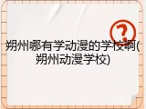 朔州哪有学动漫的学校啊(朔州动漫学校)