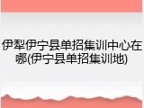 伊犁伊宁县单招集训中心在哪(伊宁县单招集训地)