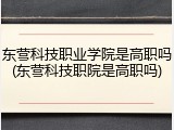 东营科技职业学院是高职吗(东营科技职院是高职吗)