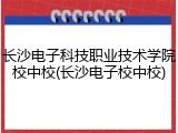 长沙电子科技职业技术学院校中校(长沙电子校中校)