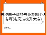 技校电子商务专业考哪个大专啊(电商技校升大专)