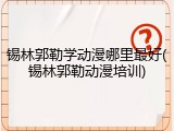锡林郭勒学动漫哪里最好(锡林郭勒动漫培训)