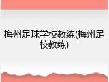 梅州足球学校教练(梅州足校教练)