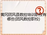 黄冈团风县数控培训职校有哪些(团风数控职校)